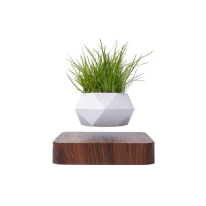 گلدان هشت ضلعی