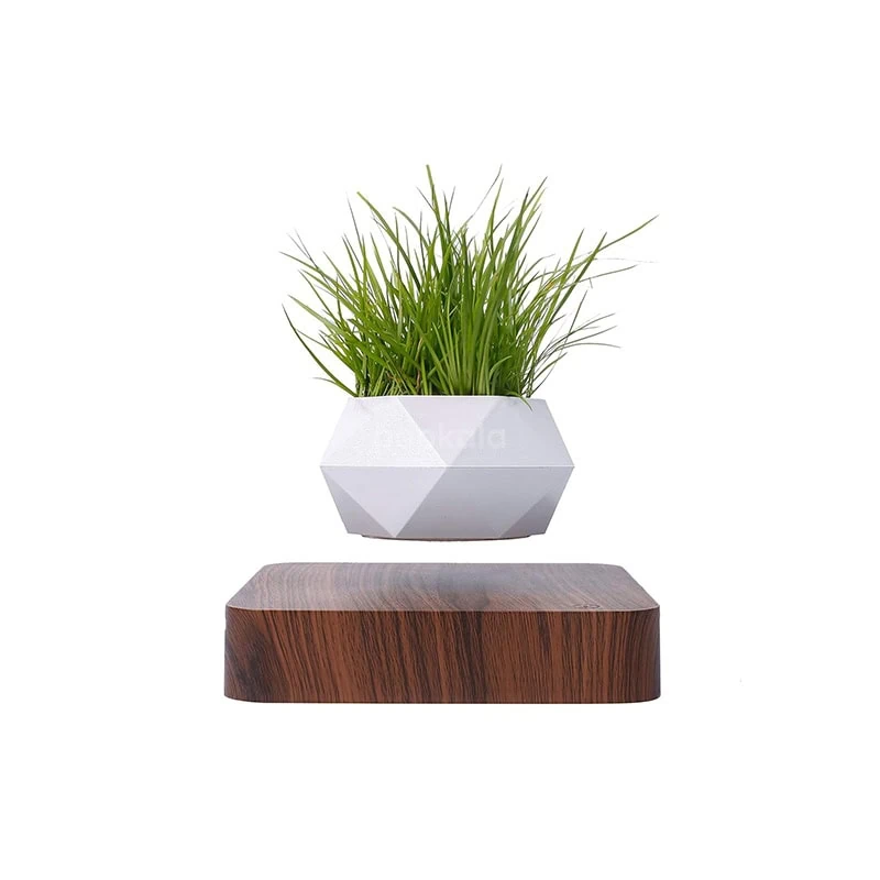 گلدان هشت ضلعی