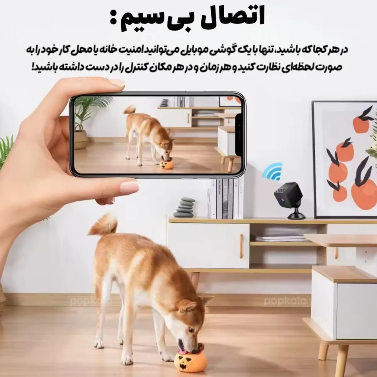 دوربین مدار بسته کوچک