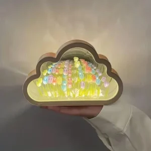 باکس آیینه دشت لاله بینهایت