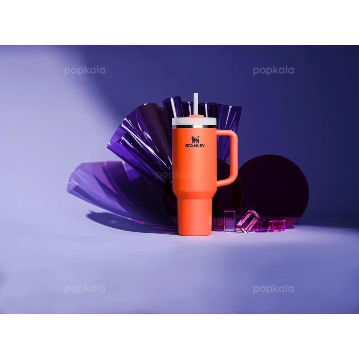 ماگ نی دار استنلی